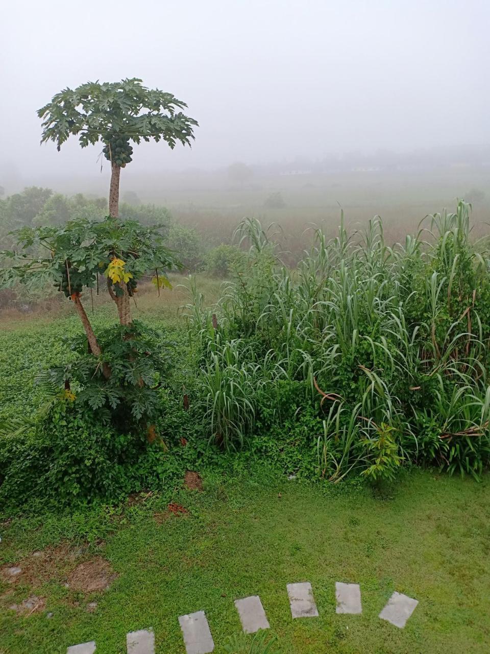 Greenfield Residence Prachinburi Dış mekan fotoğraf